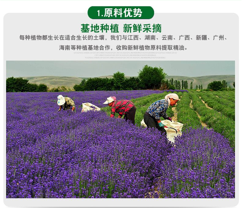 植物纯露玫瑰
